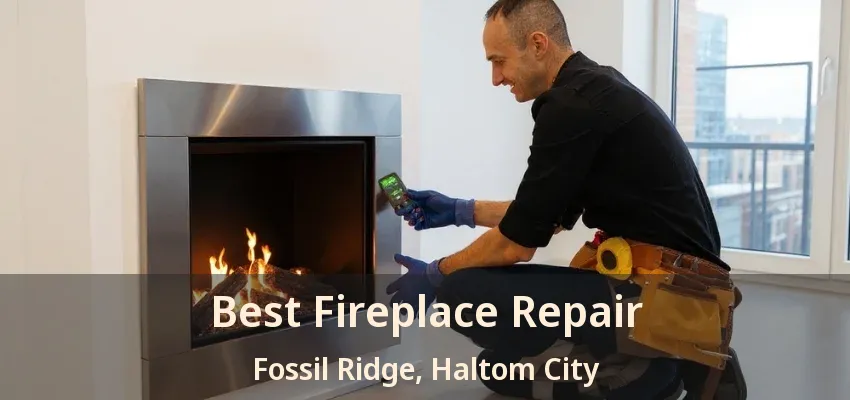 Best Fireplace Repair Fossil Ridge, Haltom City - TX