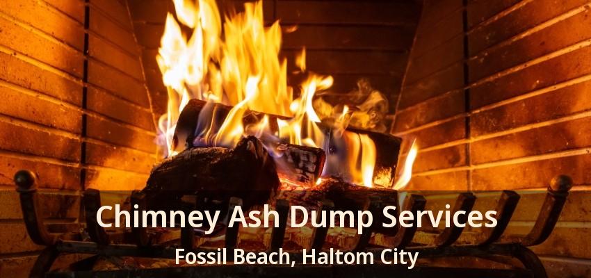 Chimney Ash Dump Services Fossil Beach, Haltom City - TX