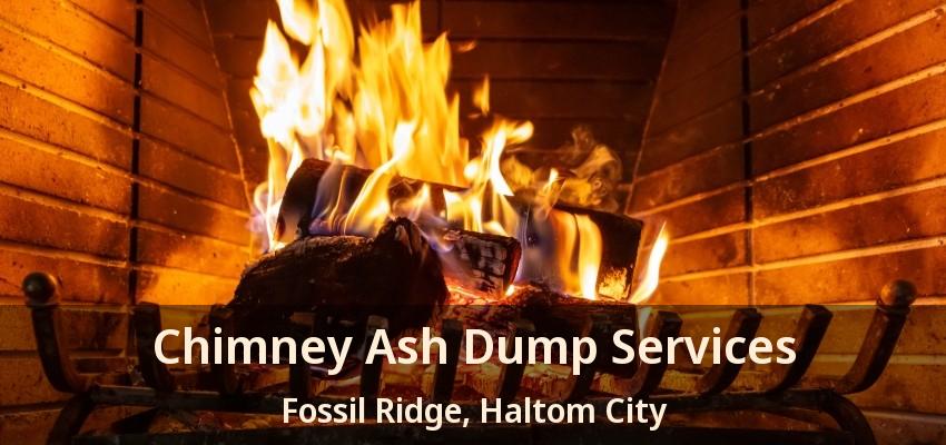 Chimney Ash Dump Services Fossil Ridge, Haltom City - TX