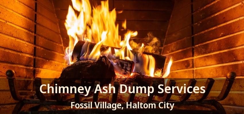 Chimney Ash Dump Services Fossil Village, Haltom City - TX
