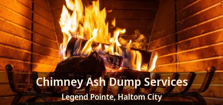 Chimney Ash Dump Services Legend Pointe, Haltom City - TX