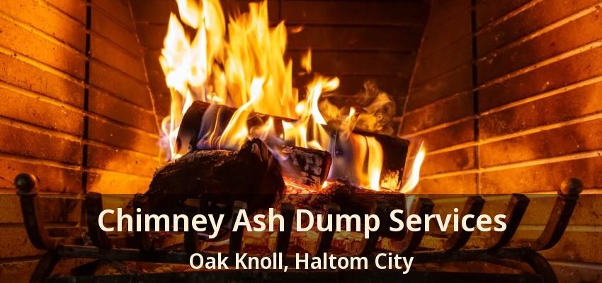 Chimney Ash Dump Services Oak Knoll, Haltom City - TX