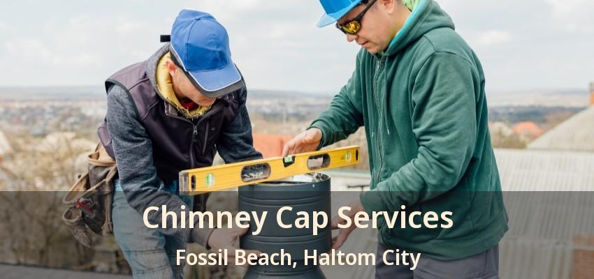 Chimney Cap Services Fossil Beach, Haltom City - TX