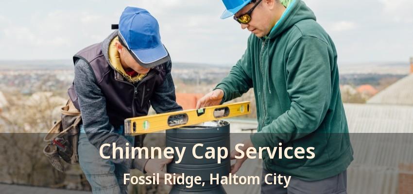 Chimney Cap Services Fossil Ridge, Haltom City - TX