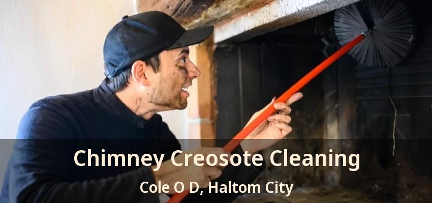 Chimney Creosote Cleaning Cole O D, Haltom City - TX