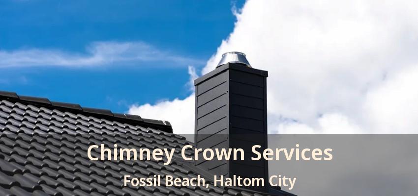 Chimney Crown Services Fossil Beach, Haltom City - TX
