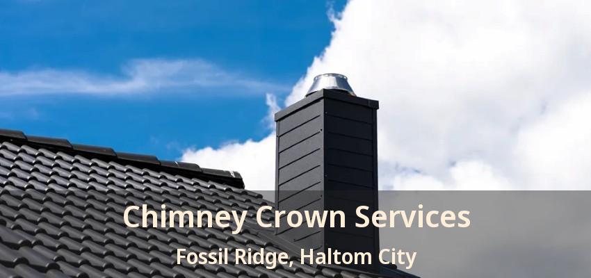Chimney Crown Services Fossil Ridge, Haltom City - TX