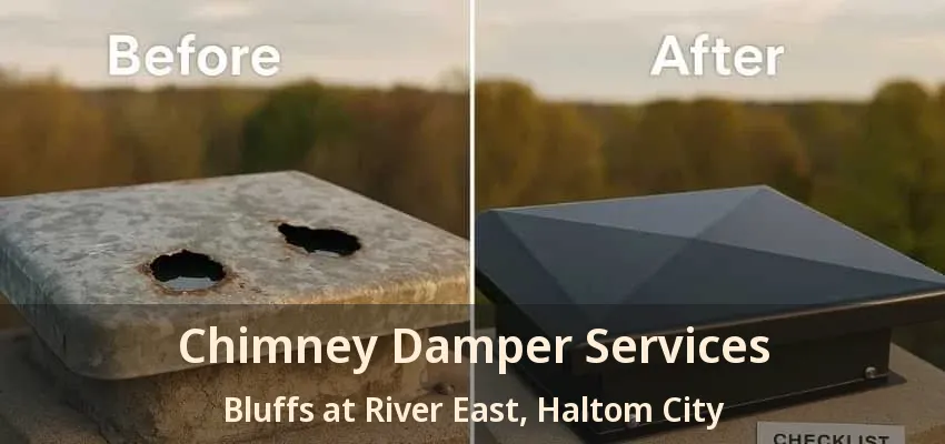 Chimney Damper Services Bluffs at River East, Haltom City - TX