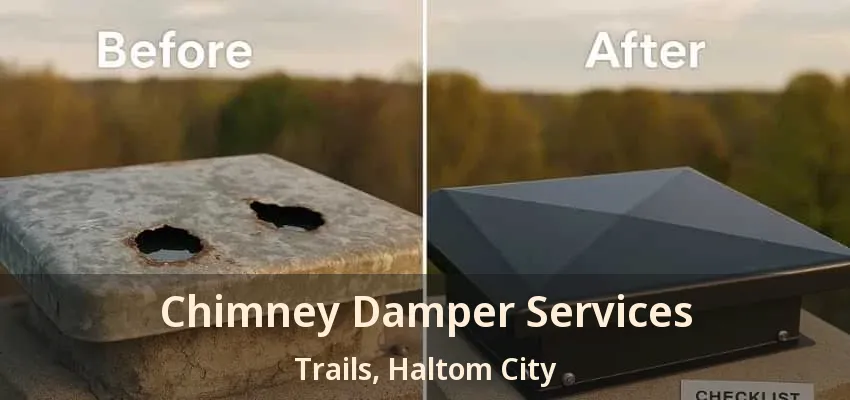 Chimney Damper Services Trails, Haltom City - TX