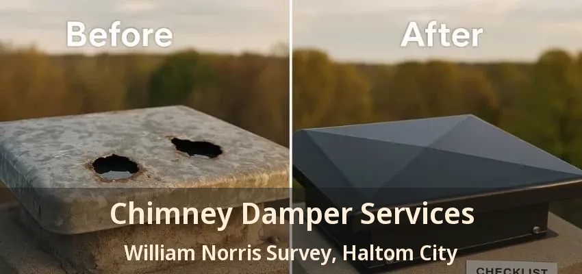 Chimney Damper Services William Norris Survey, Haltom City - TX