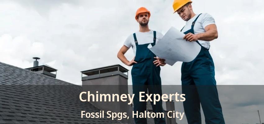 Chimney Experts Fossil Spgs, Haltom City - TX
