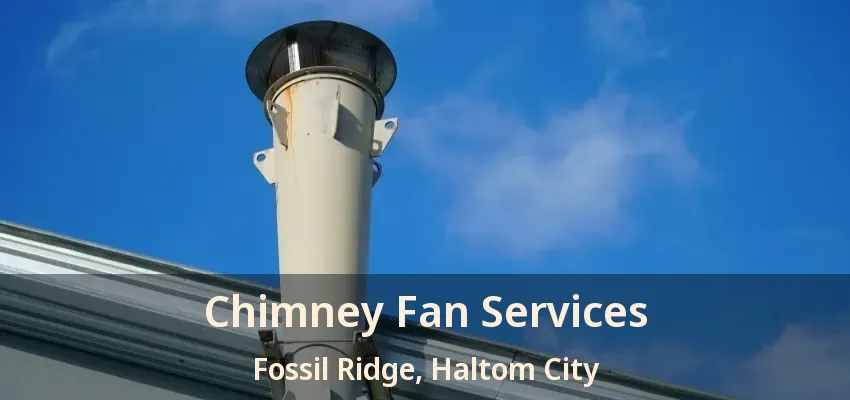 Chimney Fan Services Fossil Ridge, Haltom City - TX