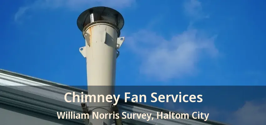 Chimney Fan Services William Norris Survey, Haltom City - TX