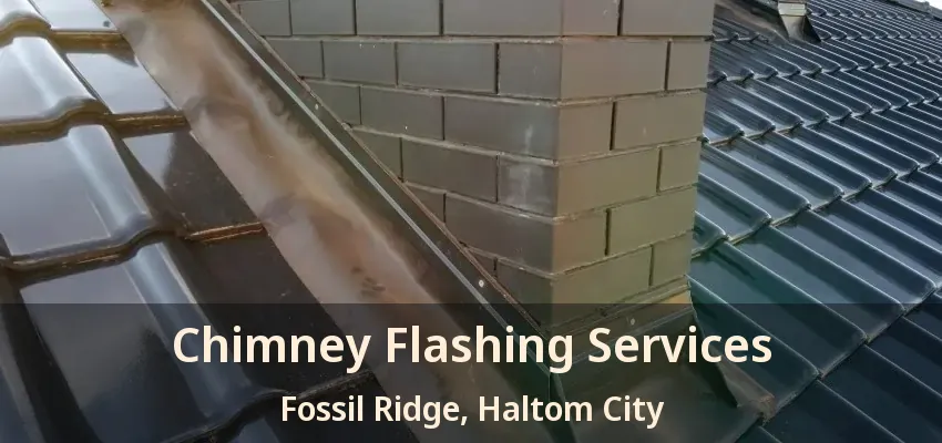 Chimney Flashing Services Fossil Ridge, Haltom City - TX