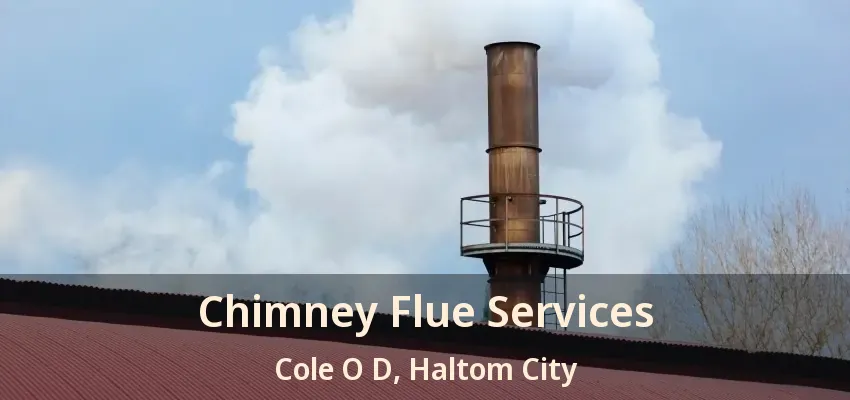 Chimney Flue Services Cole O D, Haltom City - TX