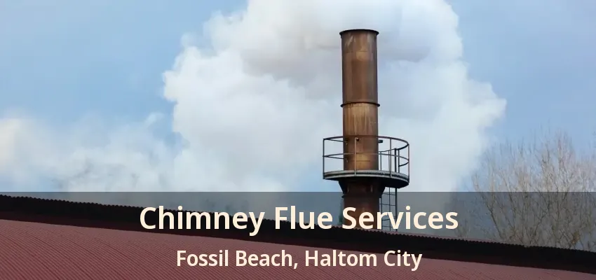Chimney Flue Services Fossil Beach, Haltom City - TX