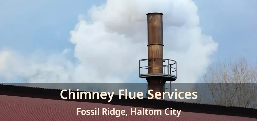 Chimney Flue Services Fossil Ridge, Haltom City - TX