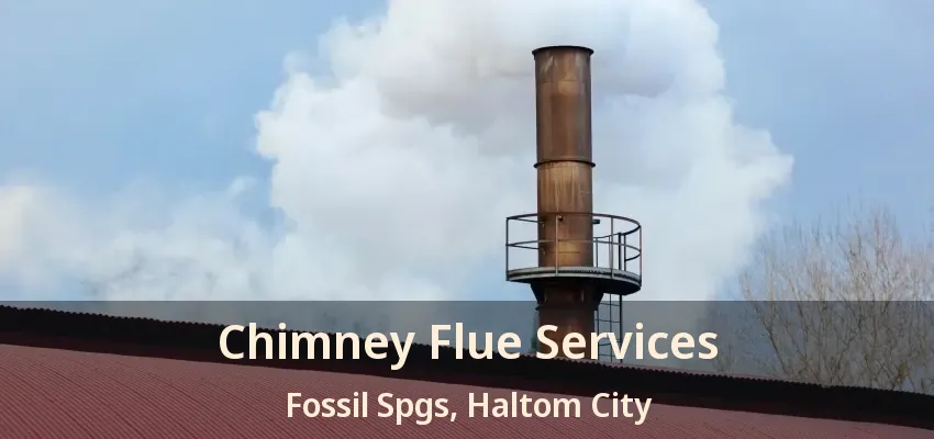 Chimney Flue Services Fossil Spgs, Haltom City - TX