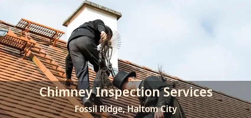 Chimney Inspection Services Fossil Ridge, Haltom City - TX