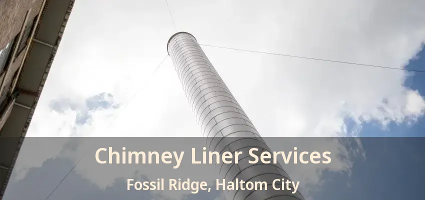 Chimney Liner Services Fossil Ridge, Haltom City - TX