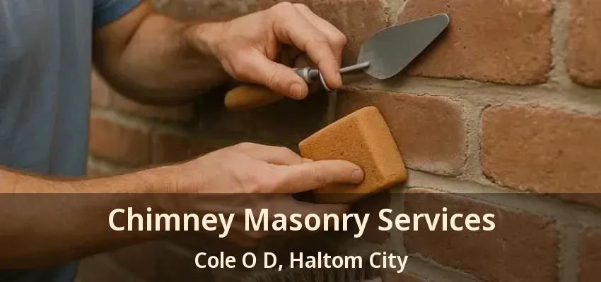 Chimney Masonry Services Cole O D, Haltom City - TX