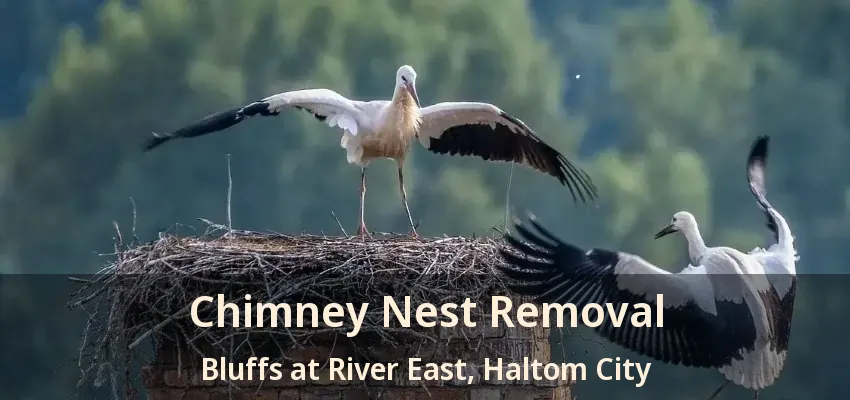 Chimney Nest Removal Bluffs at River East, Haltom City - TX