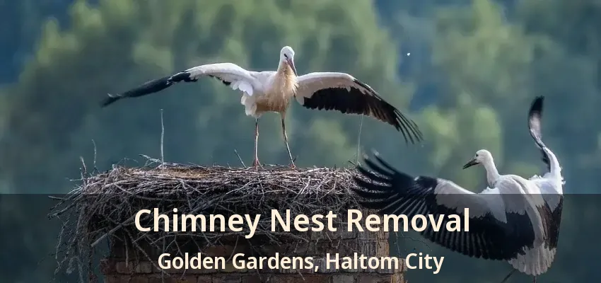 Chimney Nest Removal Golden Gardens, Haltom City - TX