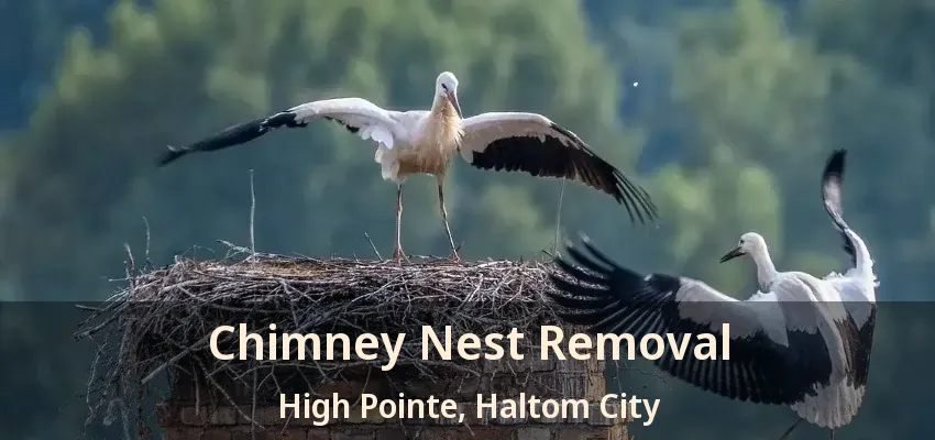 Chimney Nest Removal High Pointe, Haltom City - TX