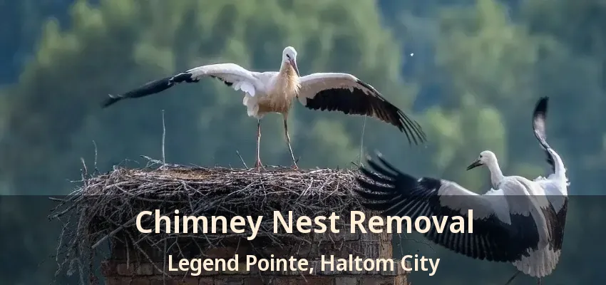 Chimney Nest Removal Legend Pointe, Haltom City - TX