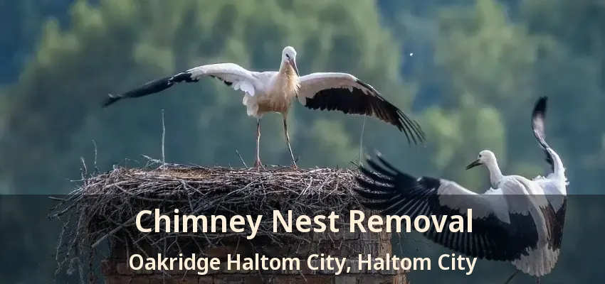 Chimney Nest Removal Oakridge Haltom City, Haltom City - TX
