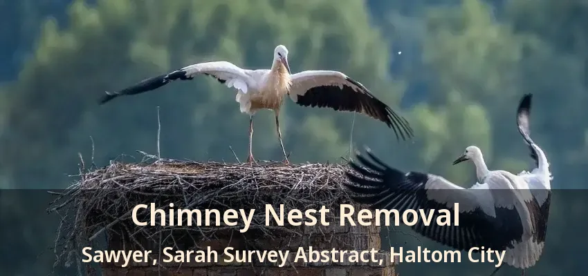 Chimney Nest Removal Sawyer, Sarah Survey Abstract, Haltom City - TX