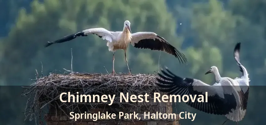 Chimney Nest Removal Springlake Park, Haltom City - TX