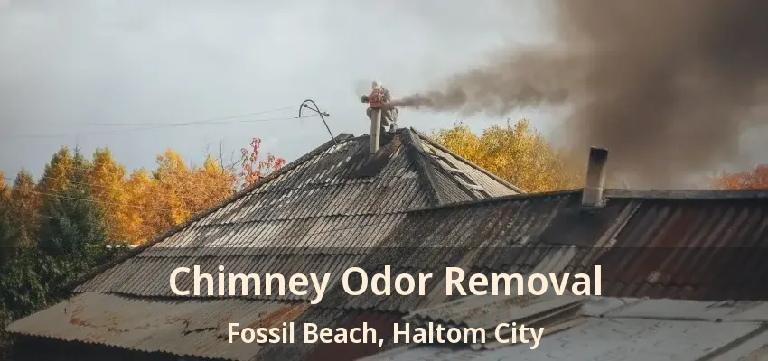 Chimney Odor Removal Fossil Beach, Haltom City - TX