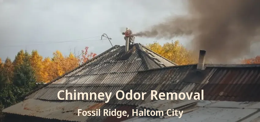 Chimney Odor Removal Fossil Ridge, Haltom City - TX