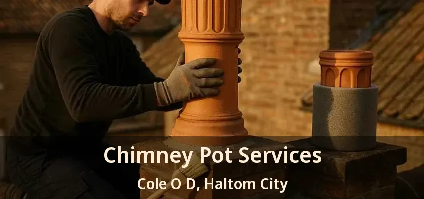 Chimney Pot Services Cole O D, Haltom City - TX