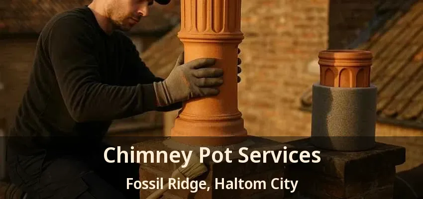 Chimney Pot Services Fossil Ridge, Haltom City - TX
