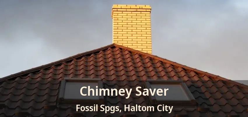 Chimney Saver Fossil Spgs, Haltom City - TX