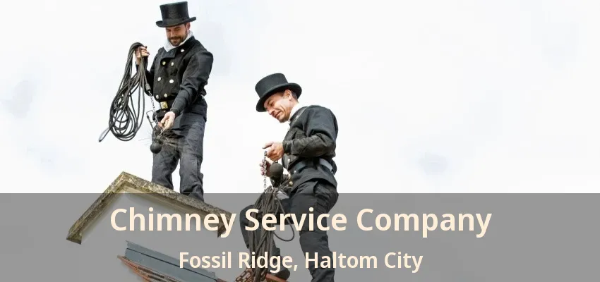 Chimney Service Company Fossil Ridge, Haltom City - TX
