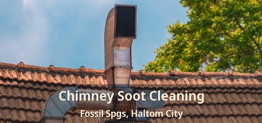 Chimney Soot Cleaning Fossil Spgs, Haltom City - TX