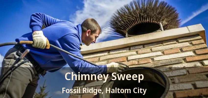 Chimney Sweep Fossil Ridge, Haltom City - TX