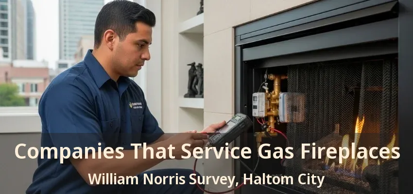 Companies That Service Gas Fireplaces William Norris Survey, Haltom City - TX