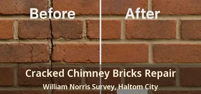 Cracked Chimney Bricks Repair William Norris Survey, Haltom City - TX