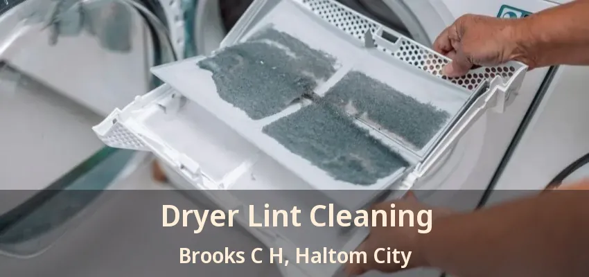 Dryer Lint Cleaning Brooks C H, Haltom City - TX