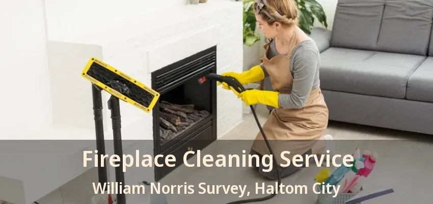 Fireplace Cleaning Service William Norris Survey, Haltom City - TX