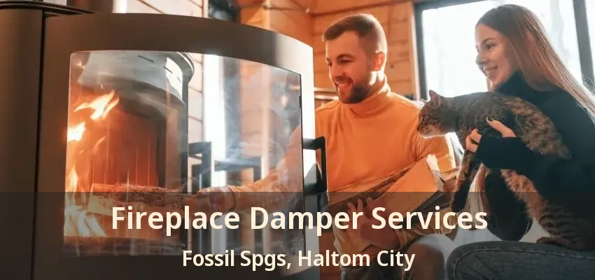 Fireplace Damper Services Fossil Spgs, Haltom City - TX