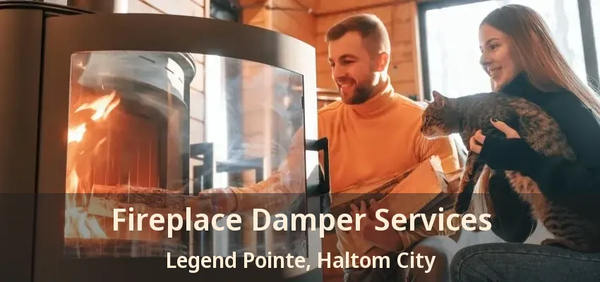 Fireplace Damper Services Legend Pointe, Haltom City - TX