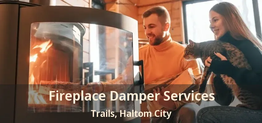Fireplace Damper Services Trails, Haltom City - TX