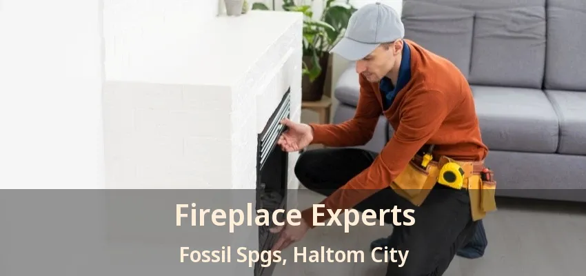 Fireplace Experts Fossil Spgs, Haltom City - TX