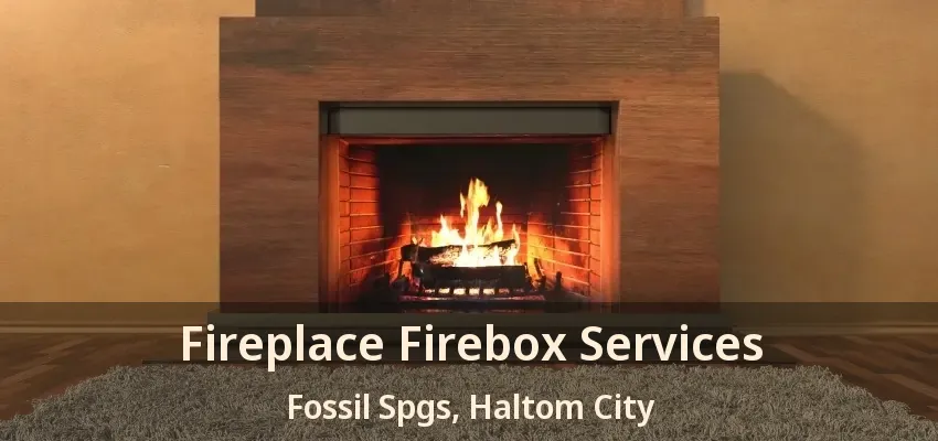 Fireplace Firebox Services Fossil Spgs, Haltom City - TX
