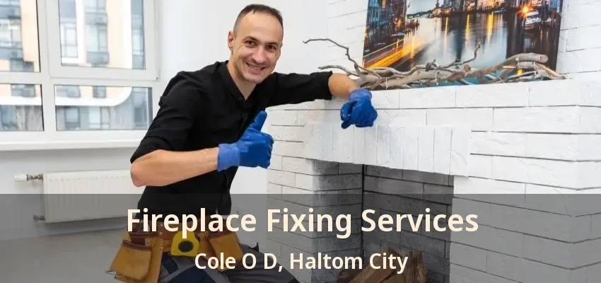 Fireplace Fixing Services Cole O D, Haltom City - TX